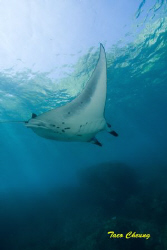 underwater aircraft by Taco Cheung 